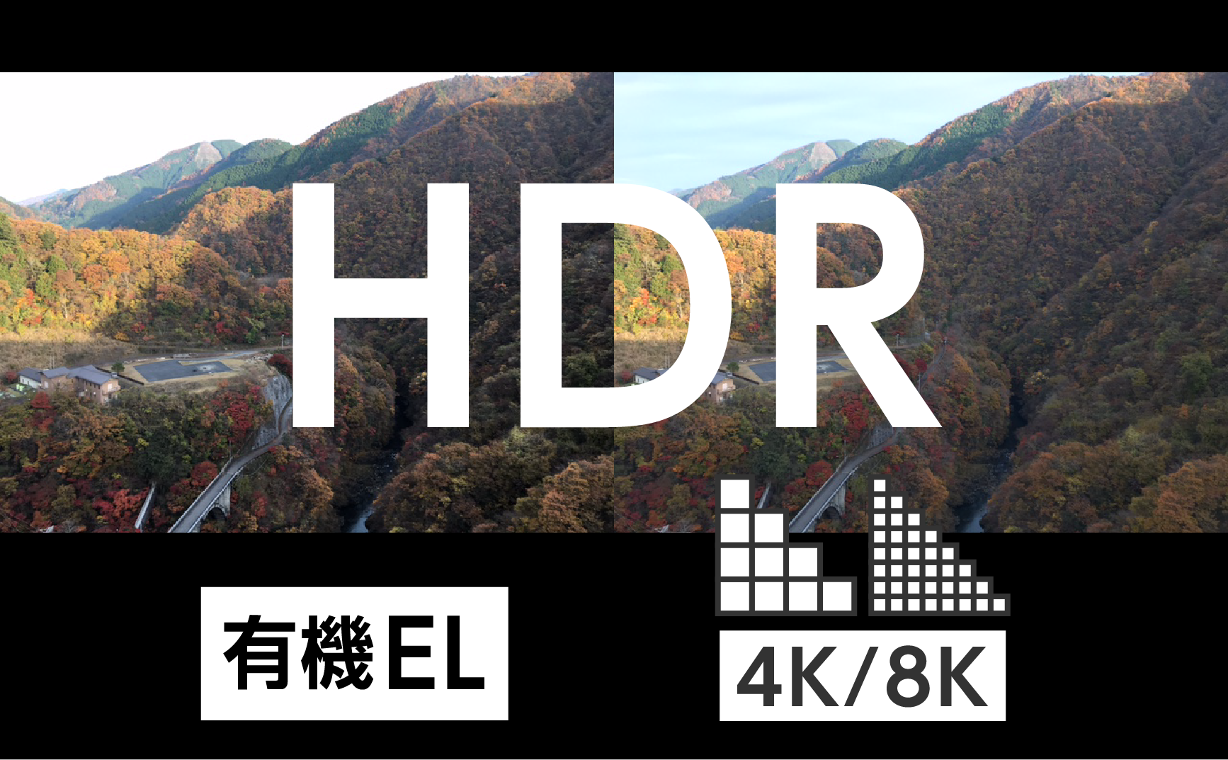 HDRと4kの違いとは？ 【有機EL (OLED)ディスプレイ/モニターについて】 | デジマースブログ